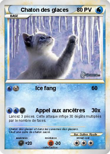 Pokemon Chaton des glaces