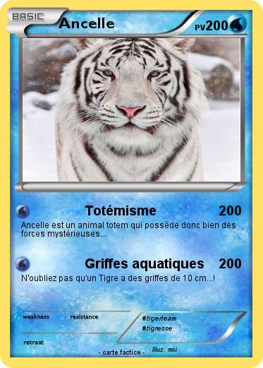 Pokemon Ancelle