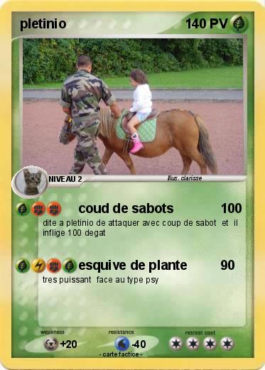 Pokemon pletinio