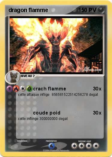 Pokemon dragon flamme
