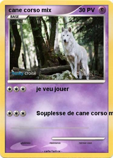 Pokemon cane corso mix