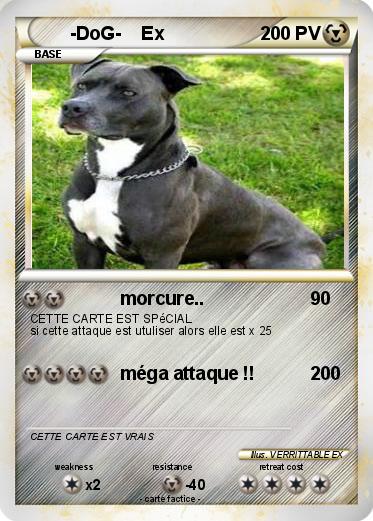 Pokemon -DoG-    Ex