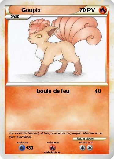 Pokemon Goupix