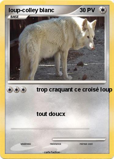 Pokemon loup-colley blanc