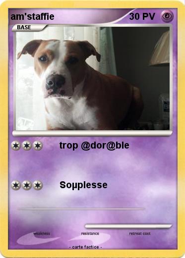Pokemon am'staffie