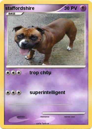 Pokemon staffordshire