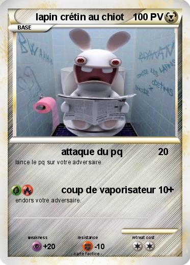 Pokemon lapin crétin au chiot