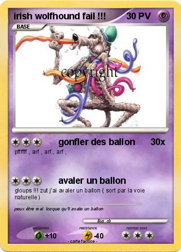 Pokemon irish wolfhound fail !!!