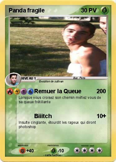 Pokemon Panda fragile