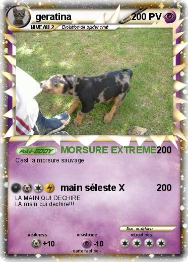 Pokemon geratina