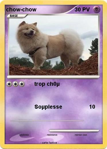 Pokemon chow-chow