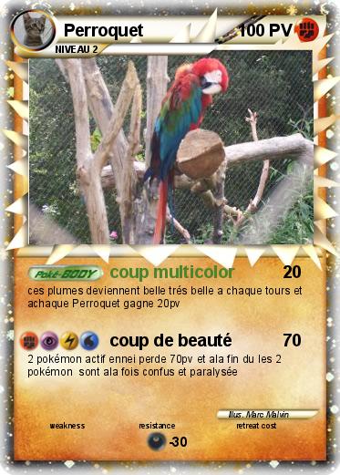 Pokemon Perroquet