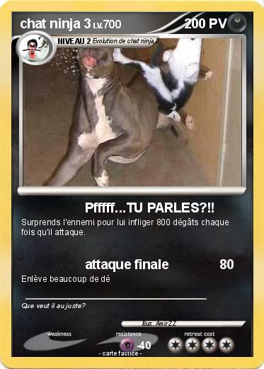 Pokemon chat ninja 3