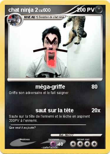 Pokemon chat ninja 2