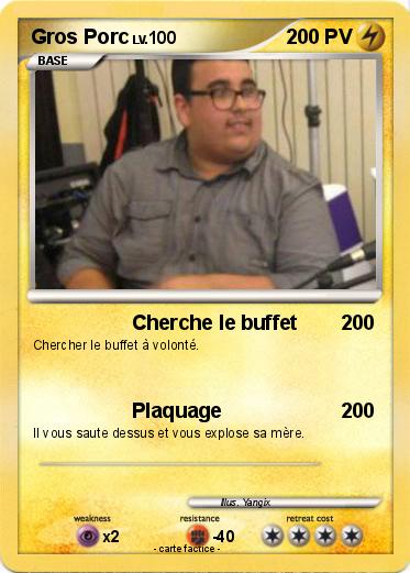 Pokemon Gros Porc