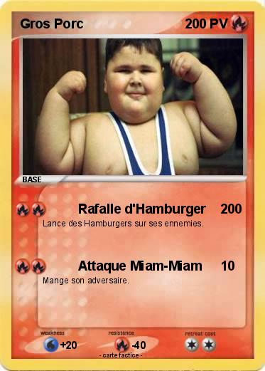 Pokemon Gros Porc