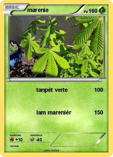 Pokemon marenie