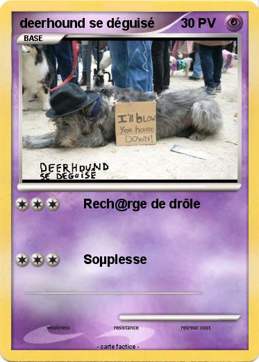Pokemon deerhound se déguisé