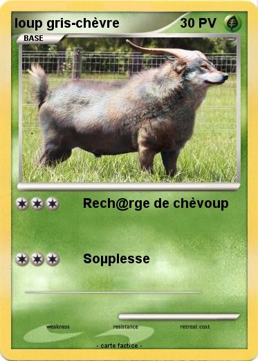 Pokemon loup gris-chèvre