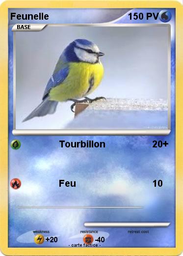 Pokemon Feunelle