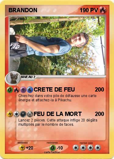 Pokemon BRANDON