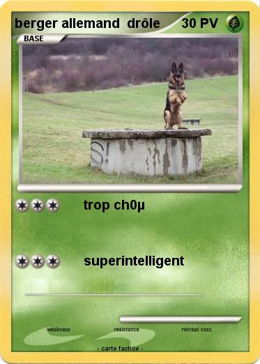 Pokemon berger allemand  drôle