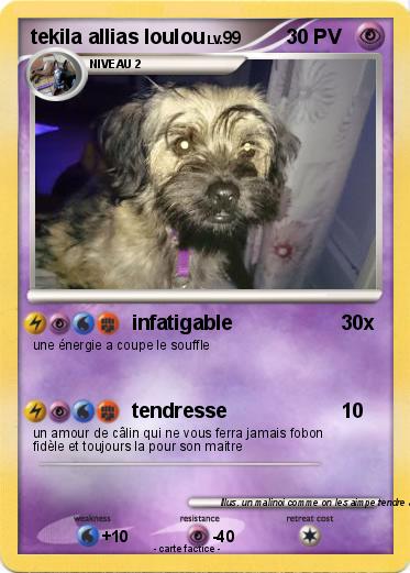 Pokemon tekila allias loulou