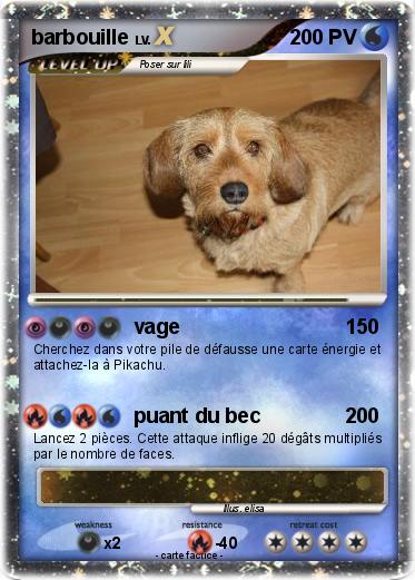 Pokemon barbouille