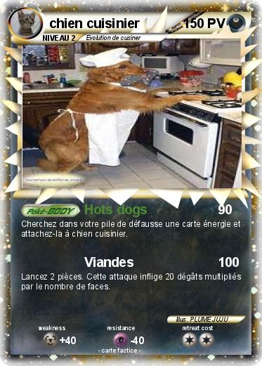 Pokemon chien cuisinier
