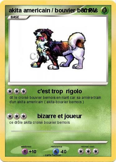 Pokemon akita americain / bouvier bernois