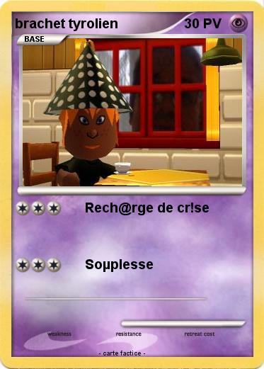 Pokemon brachet tyrolien