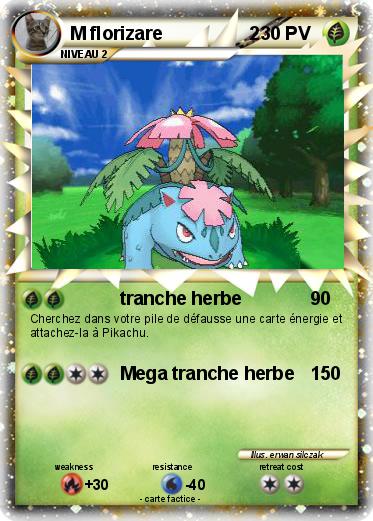 Pokemon M florizare                 2