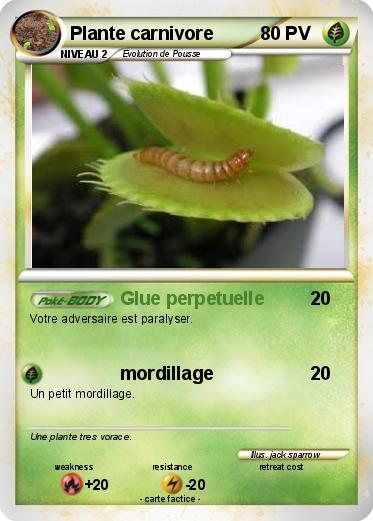 Pokemon Plante carnivore