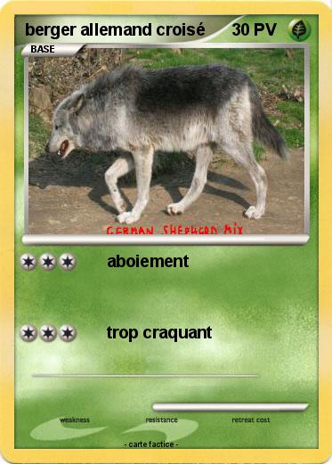 Pokemon berger allemand croisé