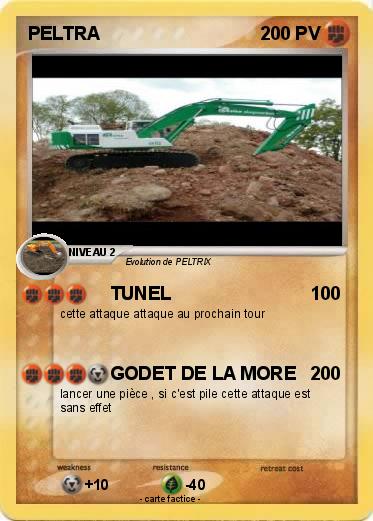 Pokemon PELTRA