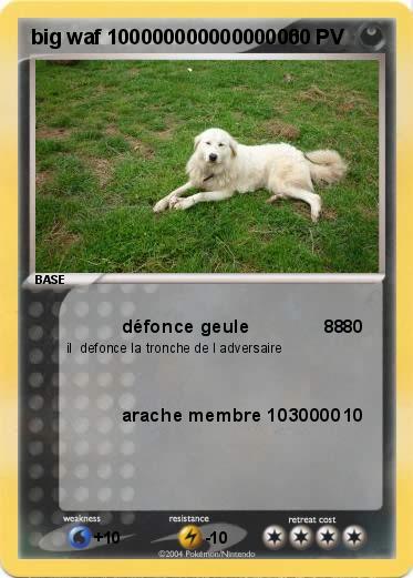 Pokemon big waf 10000000000000000