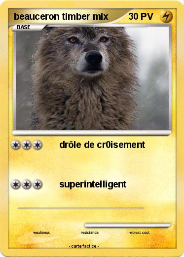Pokemon beauceron timber mix