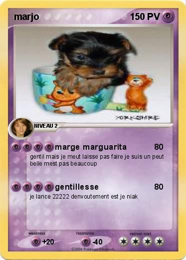 Pokemon marjo