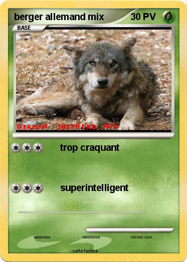 Pokemon berger allemand mix