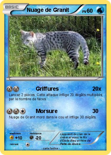 Pokemon Nuage de Granit