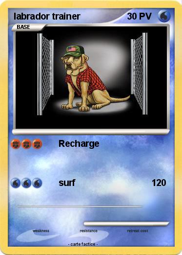 Pokemon labrador trainer