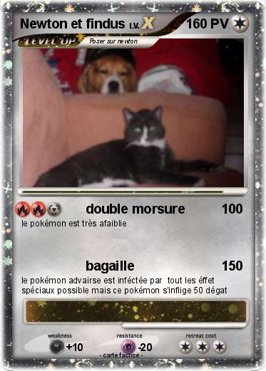 Pokemon Newton et findus