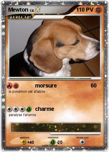 Pokemon Mewton