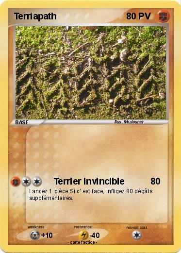 Pokemon Terriapath
