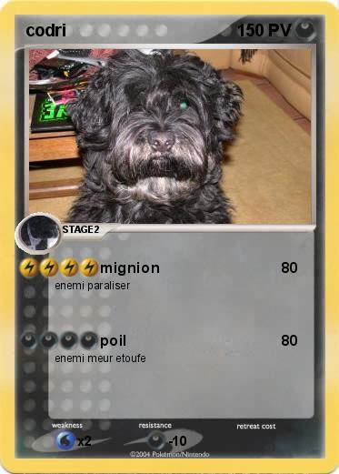 Pokemon codri