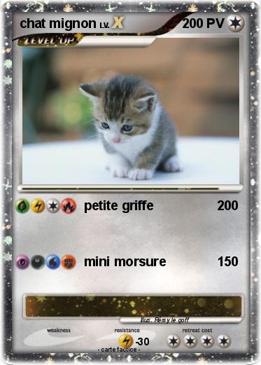 Pokemon chat mignon