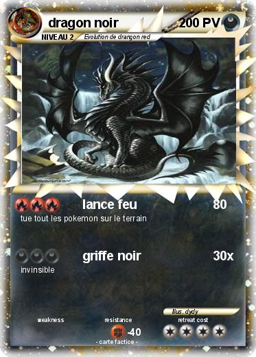 Pokemon dragon noir