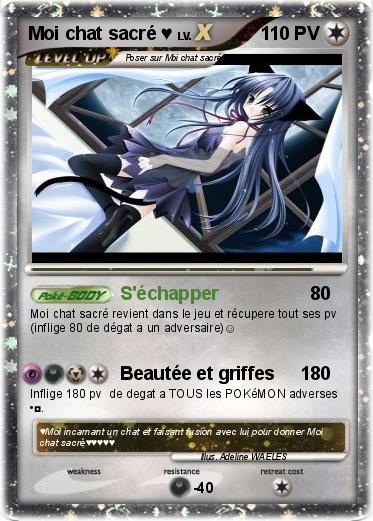 Pokemon Moi chat sacré ♥