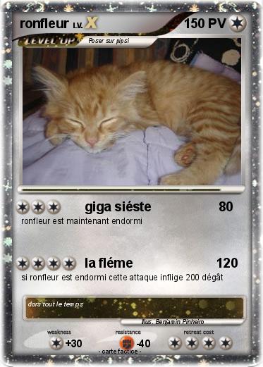 Pokemon ronfleur
