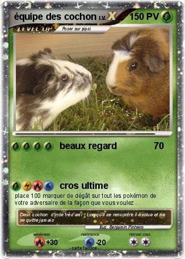 Pokemon équipe des cochon